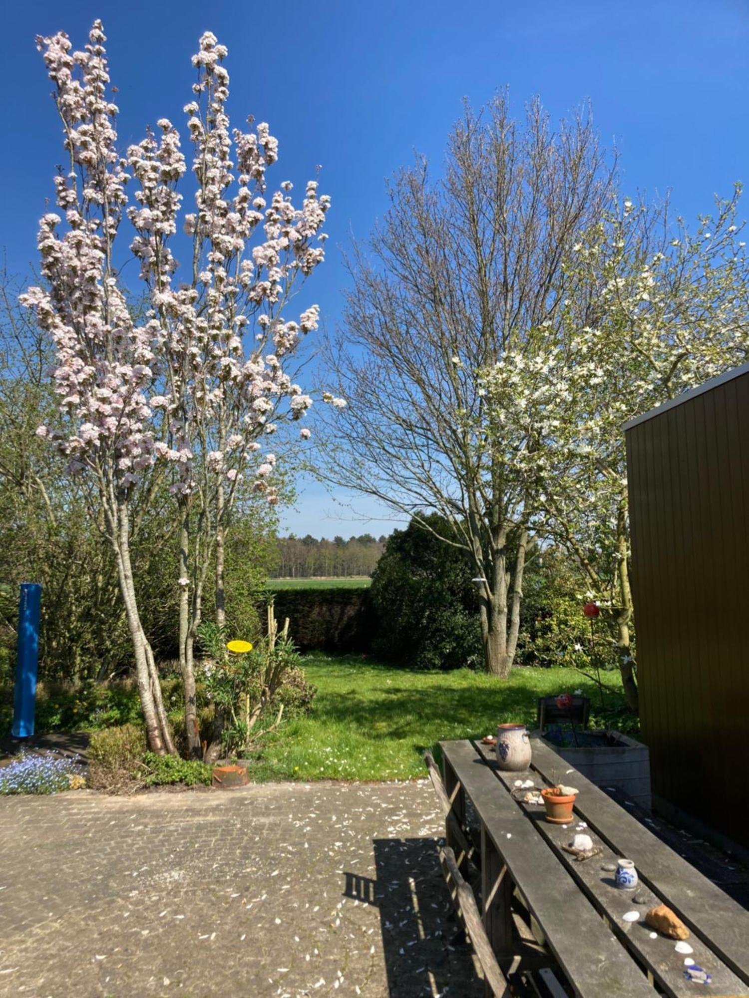 B&B Koornemoezen 지델젬 외부 사진